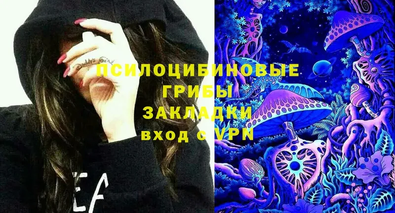 Галлюциногенные грибы Magic Shrooms  Новоаннинский 